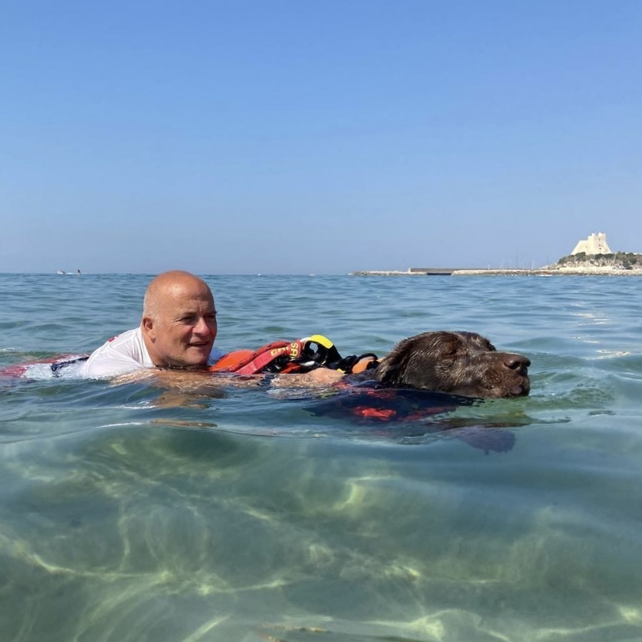 I Cani Bagnino Tornano In Spiaggia Ogni Anno Nel Lazio Salvano 15